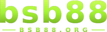 bsb88 logo